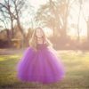 Purple,Gray Flower Girl Dresses Cute Kids Party Pageant Wedding Bridesmaid Bridal Tulle Tutu Dresses Princess Ball Gown 2-14 Y 5 Purple,Gray Flower Girl Dresses Cute Kids Party Pageant Wedding Bridesmaid Bridal Tulle Tutu Dresses Princess Ball Gown 2-14 Y 5
